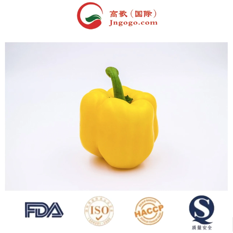 Wholesaler Chilli Natural Fresh High Quality Seasoning Chili Seeds Direct Factory