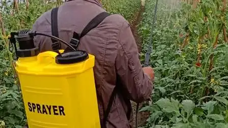 농약 소독 살균 농업 배낭 농장 정원 배터리 전기 배낭 수동 분무기 (HT-20H)