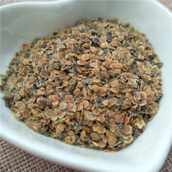 뜨거운 판매 체리 고추 하이브리드 씨앗 농업용 다채로운 콘 핫 칠리 고추 씨앗