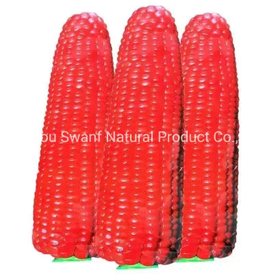50g/팩 심기용 과일 재배용 하이브리드 F1 식용 붉은 옥수수 씨앗
